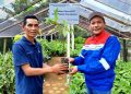 GM PGE Area Ulubelu Hadi Suranto dan Local Hero PGE Area Ulubelu, Wastoyo menunjukan hasil pembibitan yang dilakukan oleh Kelompok Usaha Perhutanan Sosial (KUPS) Margo Rukun Bestari