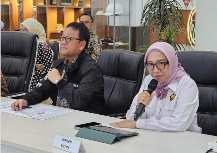 Pemerintah Targetkan Penambahan 1,2 GW Pembangkit Panas Bumi hingga 2029