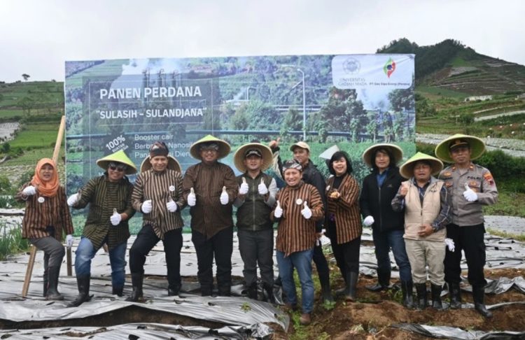 Booster Sulasih-Sulanjana, Penyubur Tanaman dari Endapan Silika Panas Bumi Dieng