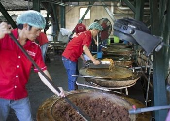 Pemanfaatan Langsung Panas Bumi Berkontribusi Terhadap 8 Tujuan Pembangunan Berkelanjutan, Ini Rinciannya
