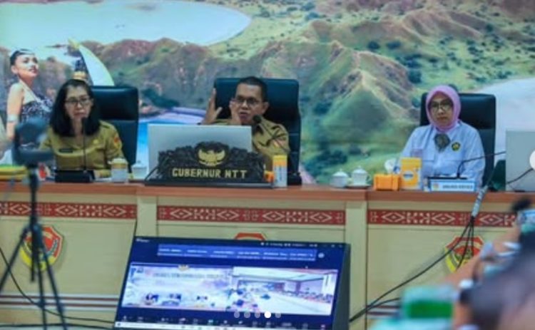 Gubernur NTT Ajak Masyarakat Dukung Ikhtiar PLN Membangun PLTP: Panas Bumi Pintu Kesejahteraan NTT