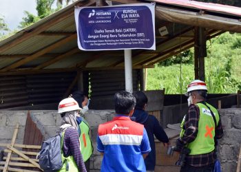 PGE Kembangkan BIAPONG: Peternakan Babi Berbasis Energi Terbarukan dan Potensi Lokal di Lahendong