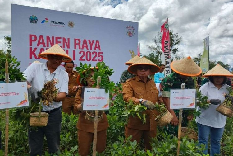 Panen Raya Katrili 2025: Kolaborasi PGE dan UGM Dorong Ketahanan Pangan dari Panas Bumi