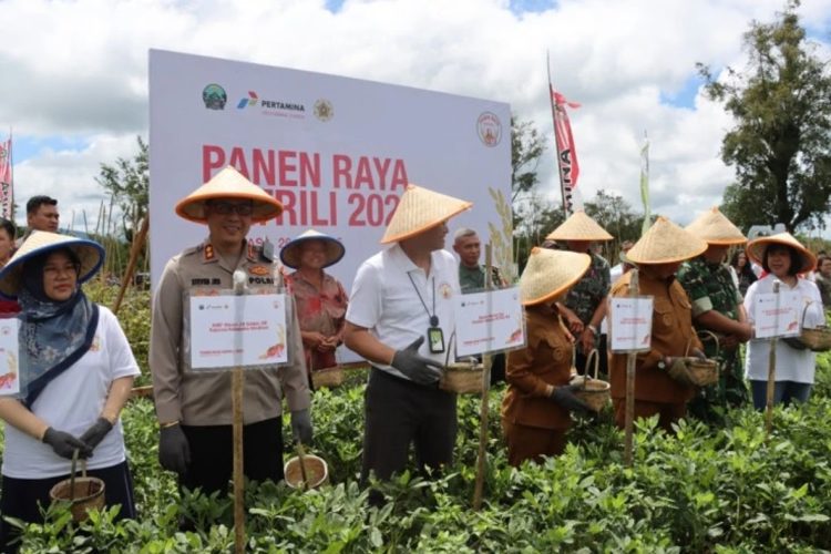 Cerita Petani 2 Gereja di Minahasa tentang Booster Katrili: Energi Panas Bumi Bisa Jadi Solusi Banyak Sektor