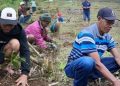 Flores Menjemput Masa Depan yang Hijau: PLTP Ulumbu Dipacu, Kopi Poco Leok Ditumbuhkan
