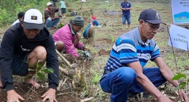 Flores Menjemput Masa Depan yang Hijau: PLTP Ulumbu Dipacu, Kopi Poco Leok Ditumbuhkan