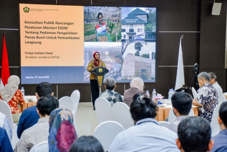 Dorong Pembangunan Ekonomi Hijau, Kementerian ESDM Susun Regulasi Pemanfaatan Langsung Panas Bumi
