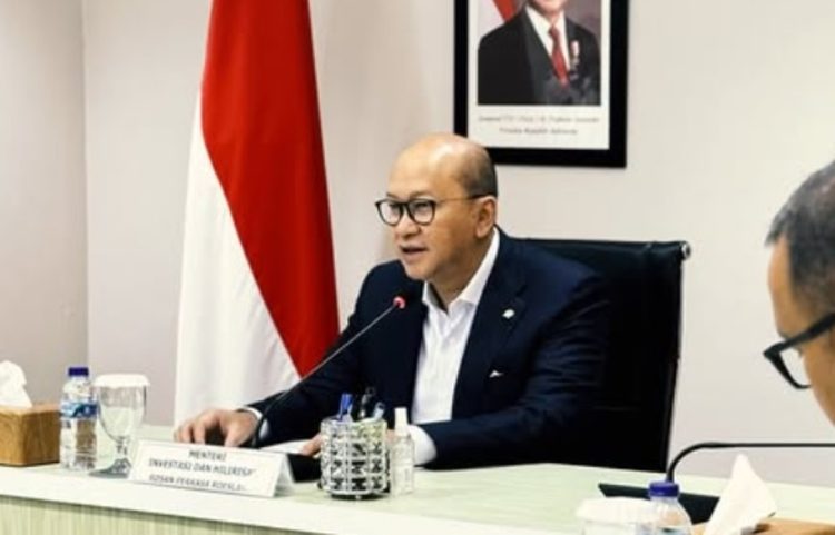 Rosan Ajak Investor Garap Energi Terbarukan: Panas Bumi Jadi Primadona