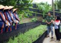 PGE Area Ulubelu Perkuat Ketahanan Pangan dan Pemberdayaan Perempuan Lewat Program Hortikultura