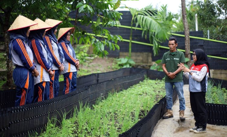 PGE Area Ulubelu Perkuat Ketahanan Pangan dan Pemberdayaan Perempuan Lewat Program Hortikultura