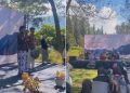 Dieng Geothermal Festival 2025 Meriahkan Launching Dieng Culture Festival