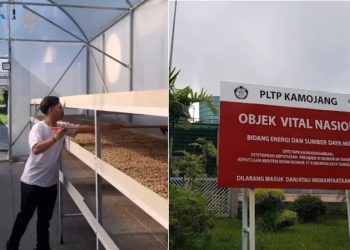 Kopi Panas Bumi Kamojang Makin Mendunia: Usai Asia, Kini Siap Hadir di Eropa