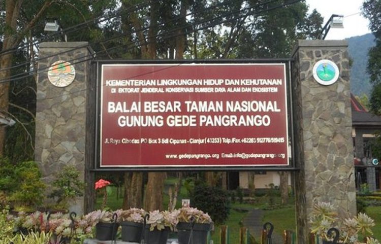 Pemanfaatan Panas Bumi Cipanas Legal dan Perhatikan Prinsip Konservasi, Ini Penjelasan Kepala TNGGP