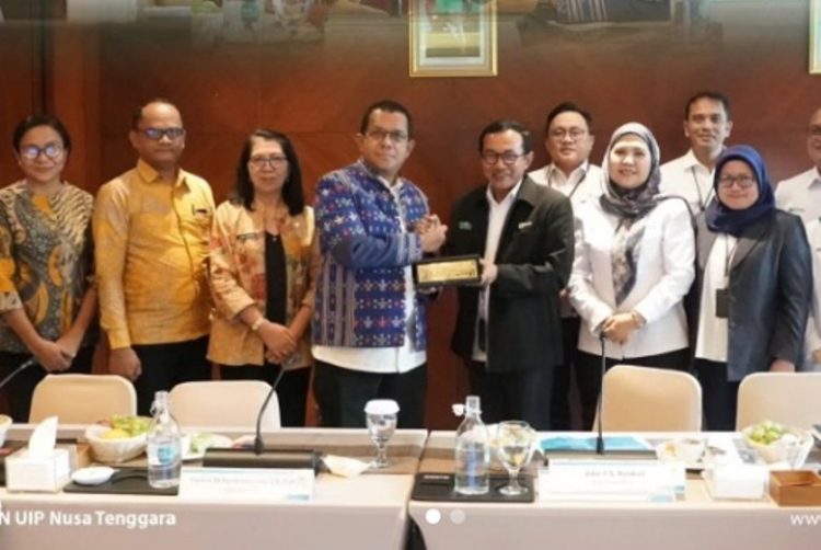 Gubernur NTT Berikan Sejumlah Rekomendasi Strategis untuk Pengembangan Panas Bumi di Flores