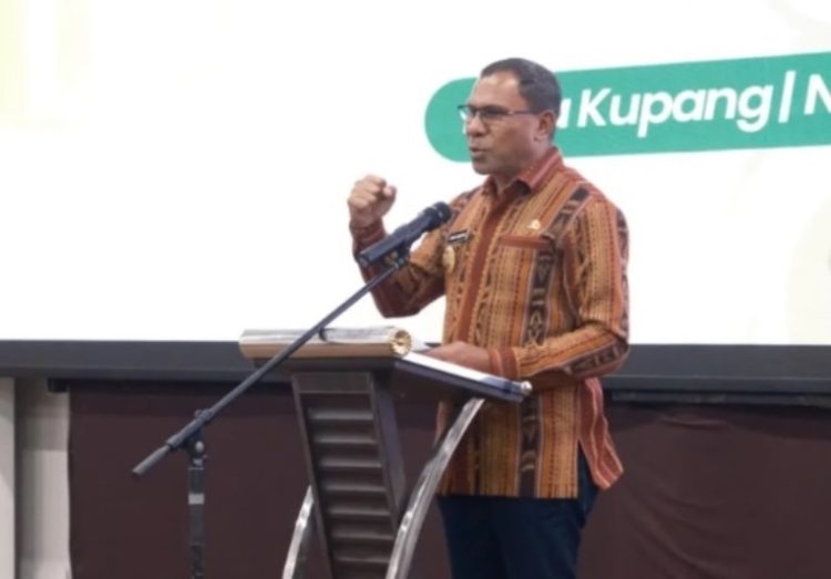 Wagub NTT Johni Asadoma: Panas Bumi, Energi Strategis untuk Flores dan Masa Depan
