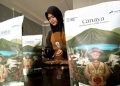 Inovasi Dari Panas Bumi Kamojang, Kopi Canaya Hasilkan 1.500 Ton per Tahun dan Tembus Pasar Dunia