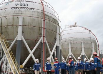 PGE Ambil Peran di Green Terminal Tanjung Sekong, Targetkan Listrik Rendah Karbon 25%