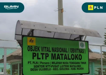 Pri Utami: Lumpur Panas di Mataloko, NTT, Fenomena Alam dan Tidak Terkait Proyek Geothermal