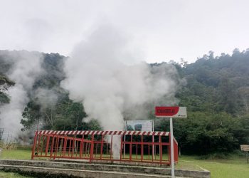 API Dorong Penguatan Insentif dan Efisiensi untuk Tingkatkan Daya Saing Proyek Panas Bumi Nasional