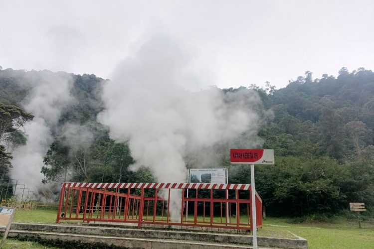 API Dorong Penguatan Insentif dan Efisiensi untuk Tingkatkan Daya Saing Proyek Panas Bumi Nasional