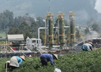 Tak Sekadar Listrik, Geo Dipa dan BRIN Dorong Pemanfaatan Panas Bumi untuk Industri dan Pariwisata