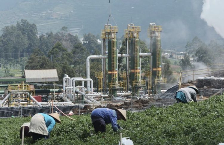 Tak Sekadar Listrik, Geo Dipa dan BRIN Dorong Pemanfaatan Panas Bumi untuk Industri dan Pariwisata