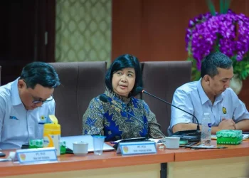 Ahli Geothermal UGM Pri Utami: Lumpur Panas di Flores Fenomena Alami, Bukan Limbah Proyek PLTP