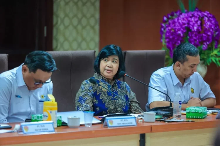 Ahli Geothermal UGM Pri Utami: Lumpur Panas di Flores Fenomena Alami, Bukan Limbah Proyek PLTP