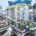Ahli Geothermal ITB Ali Ashat: PLTP Mataloko 20 MW Hanya Gunakan 13,3 Hektare dari WKP 996,2 Hektare