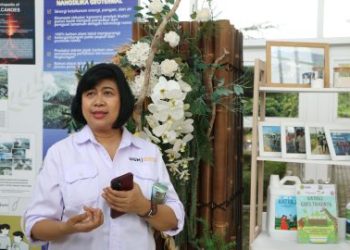 Pakar UGM Pri Utami Luruskan Isu Geotermal Flores, dari Gempa, Gas Belerang hingga Emisi PLTP
