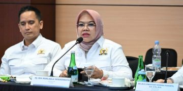 DPR Dorong Danantara Percepat Investasi Geothermal Lewat PLN dan Pertamina