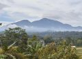 PLTP Gunung Ungaran Ditargetkan 55 MW, WKP Capai 29.800 Hektare di Semarang-Kendal