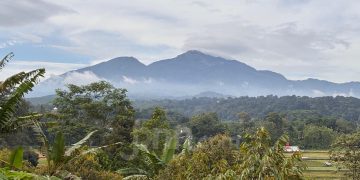 PLTP Gunung Ungaran Ditargetkan 55 MW, WKP Capai 29.800 Hektare di Semarang-Kendal