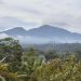 PLTP Gunung Ungaran Ditargetkan 55 MW, WKP Capai 29.800 Hektare di Semarang-Kendal